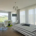 Max Luxury - Servizio Inclusa Пескичи