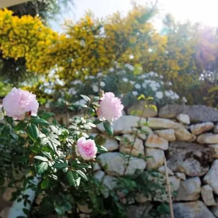 Max Luxury - Servizio Inclusa Bed & Breakfast Peschici