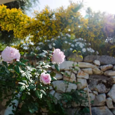 Max Luxury - Servizio Inclusa